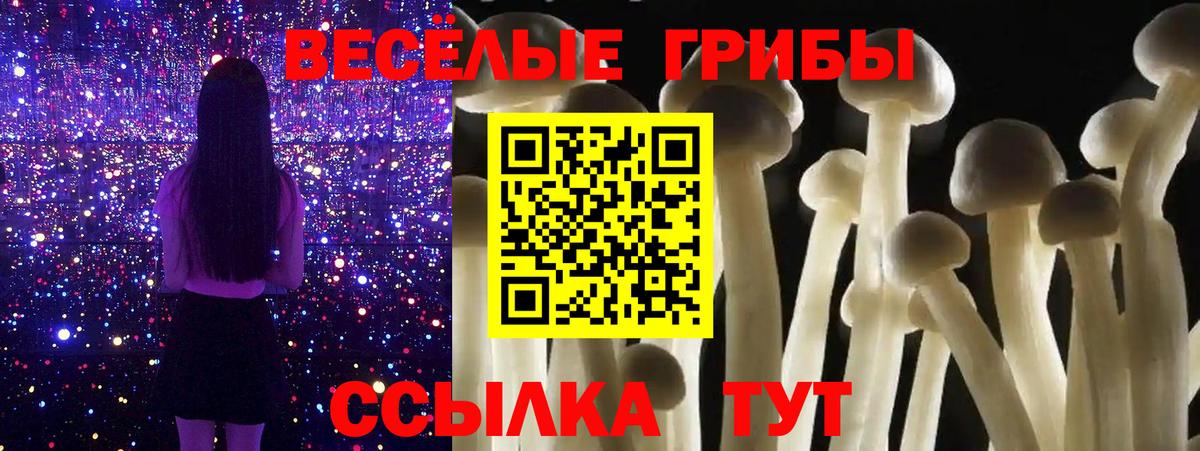 Псилоцибиновые грибы мицелий  Вход с VPN  Торжок 