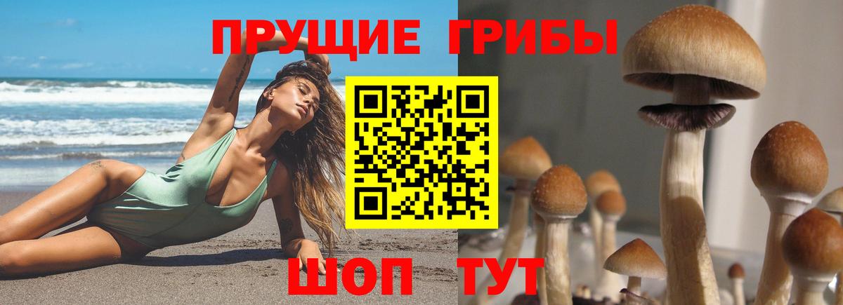 Псилоцибиновые грибы ЛСД Торжок